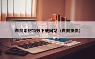 湘潭白鹅素材特效下载网站（白鹅摄影）